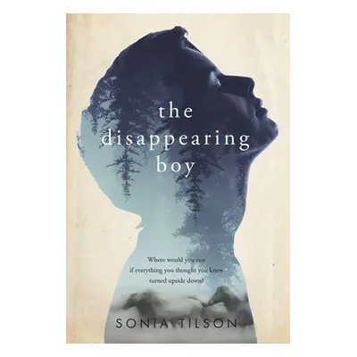 Disappearing Boy - Tilson, Sonia