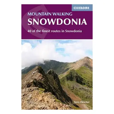 Mountain Walking in Snowdonia - Fletcher, Terry