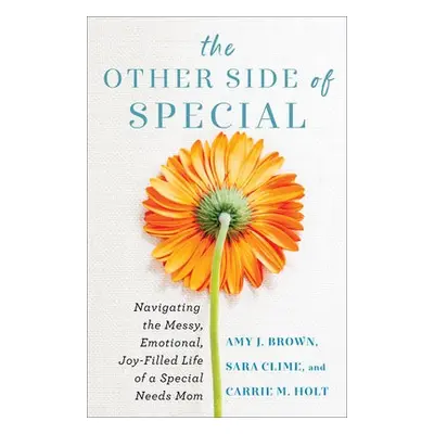 Other Side of Special – Navigating the Messy, Emotional, Joy–Filled Life of a Special Needs Mom 