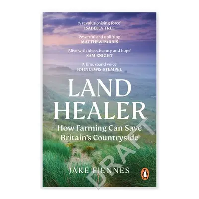 Land Healer - Fiennes, Jake