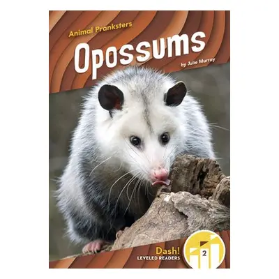 Animal Pranksters: Oppossums - Murray, Julie