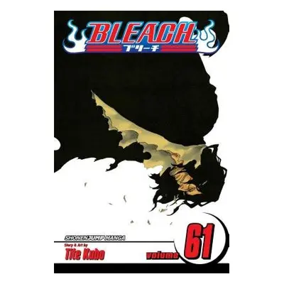 Bleach, Vol. 61 - Kubo, Tite