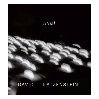 David Katzenstein