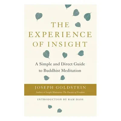 Experience of Insight - Goldstein, Joseph