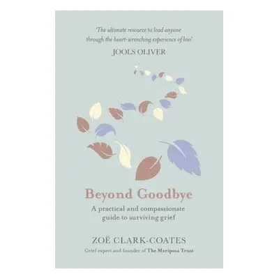 Beyond Goodbye - Clark-Coates, Zoe