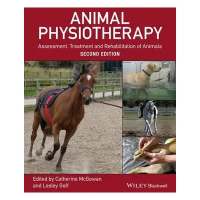 Animal Physiotherapy