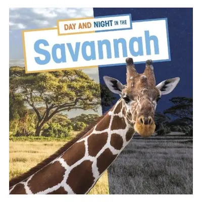 Day and Night in the Savannah - Boone, Mary