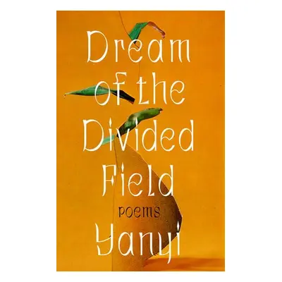 Dream of the Divided Field