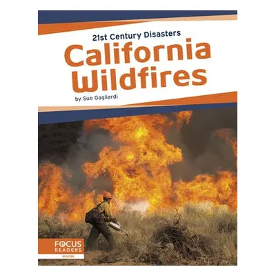 21st Century Disasters: California Wildfires - Gagliardi, Sue