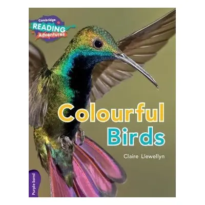 Cambridge Reading Adventures Colourful Birds Purple Band - Llewellyn, Claire