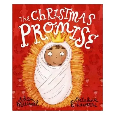 The Christmas Promise Storybook - Mitchell, Alison