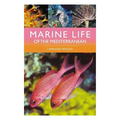 Marine Life of the Mediterranean - Wood, Lawson