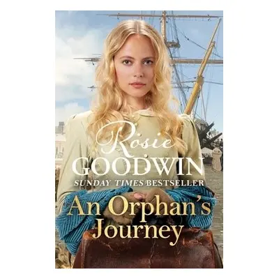 An Orphan's Journey - Goodwin, Rosie