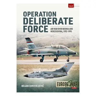 Operation Deliberate Force - Radic, Aleksandar