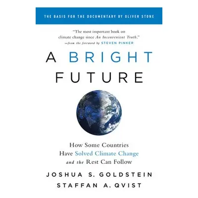 A Bright Future - Goldstein, Joshua S.