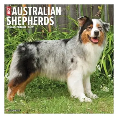 Just Australian Shepherds 2025 12 X 12 Wall Calendar - Willow Creek Press