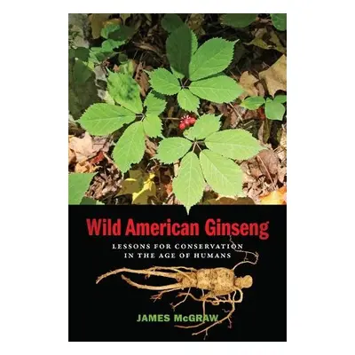 Wild American Ginseng - McGraw, James