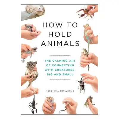 How to Hold Animals - Matsuhashi, Toshimitsu