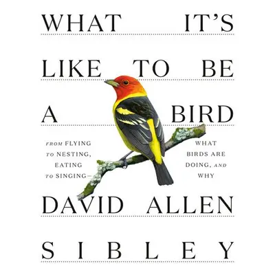 What It's Like to be a Bird - Sibley, David Allen