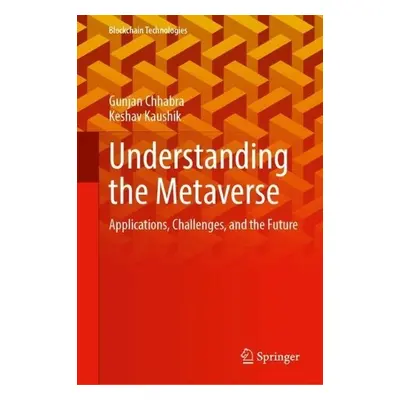 Understanding the Metaverse