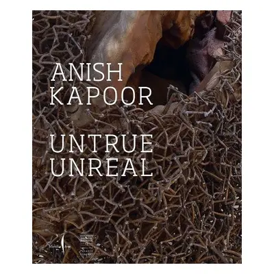 Anish Kapoor: Untrue Unreal