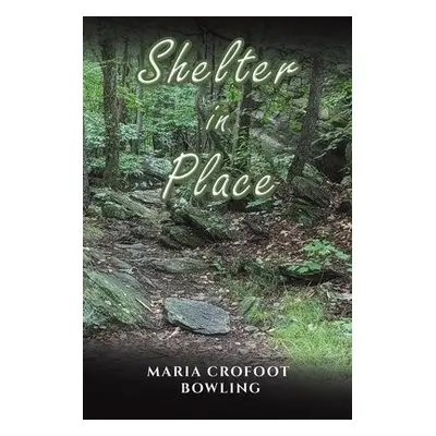 Shelter in Place - Bowling, Maria Crofoot