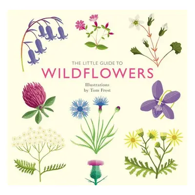 Little Guide to Wildflowers - Davies, Alison