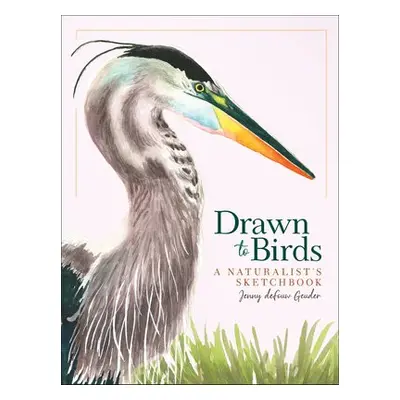 Drawn to Birds - deFouw Geuder, Jenny