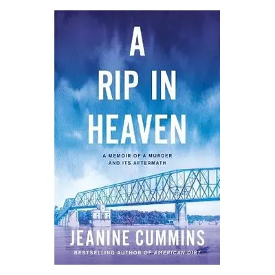 Rip in Heaven - Cummins, Jeanine