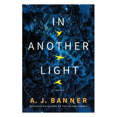 In Another Light - Banner, A. J.