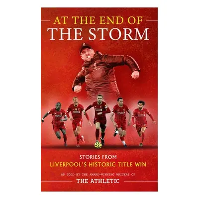 At the End of the Storm - Pearce, James a Kay, Oliver a Hughes, Simon