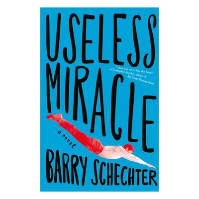 Useless Miracle - Schechter, Barry