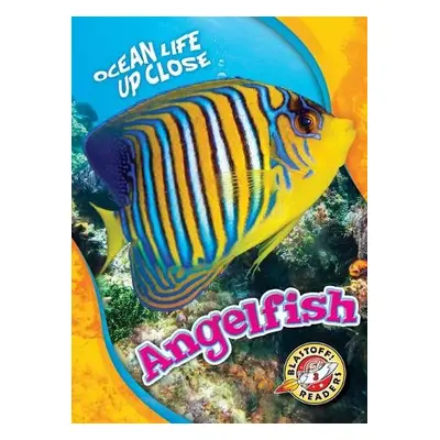 Angelfish - Sommer, Nathan