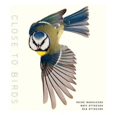 Close to Birds - Magnusson, Roine a Ottoson, Mats