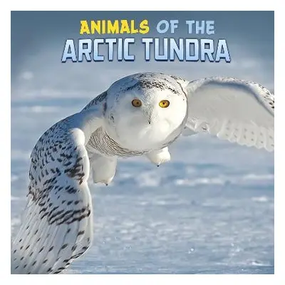 Animals of the Arctic Tundra - Rustad, Martha E. H.