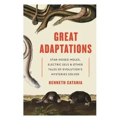 Great Adaptations - Catania, Kenneth