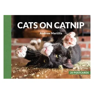 Cats on Catnip: 20 Postcards - Marttila, Andrew