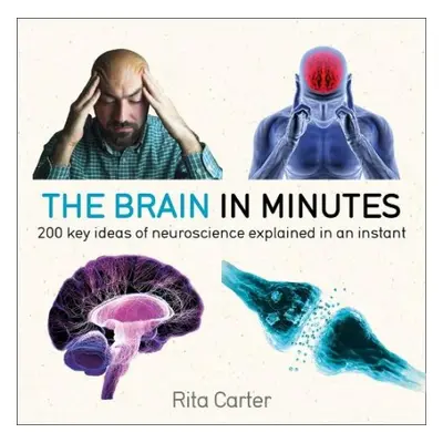 The Brain in Minutes - Carter, Rita