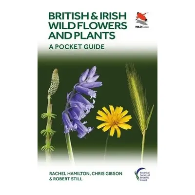 British and Irish Wild Flowers and Plants - Hamilton, Rachel a Gibson, Chris a Still, Robert