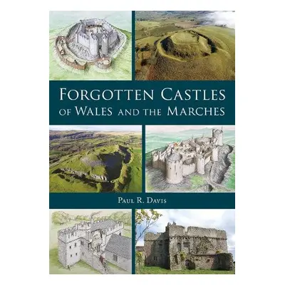 Forgotten Castles of Wales and the Marches - Davis, Paul R.