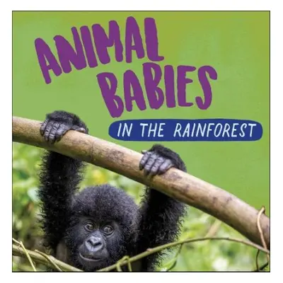 Animal Babies: In the Rainforest - Ridley, Sarah