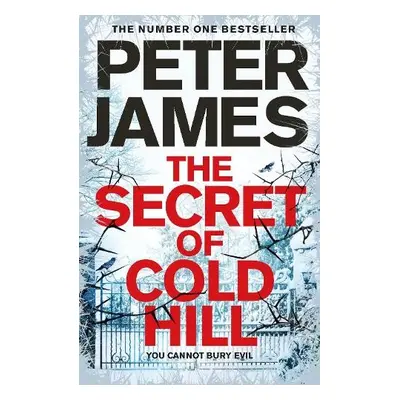 Secret of Cold Hill - James, Peter