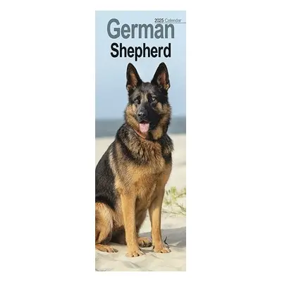 German Shepherd Slim Calendar 2025 Dog Breed Slimline Calendar - 12 Month