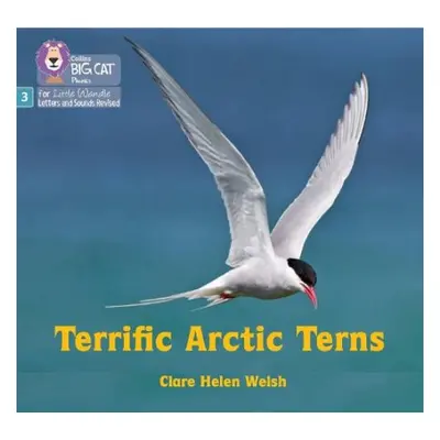 Terrific Arctic Terns - Welsh, Clare Helen