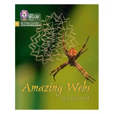 Amazing Webs - Welsh, Clare Helen