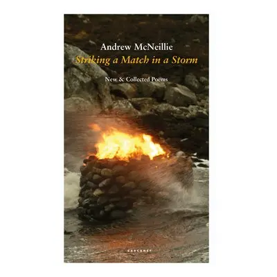 Striking a Match in a Storm - McNeillie, Andrew