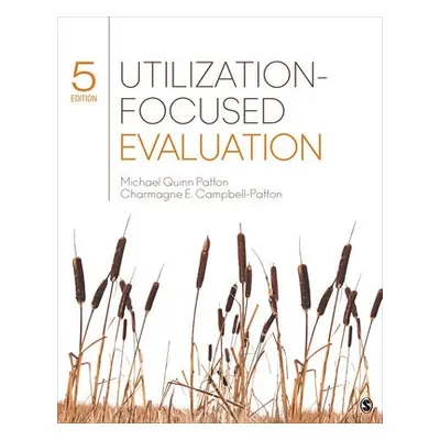 Utilization-Focused Evaluation - Patton, Michael Quinn (Utilization-Focused Evaluation, Saint Pa