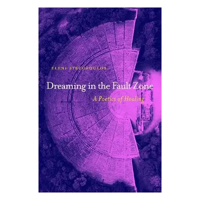 Dreaming in the Fault Zone: A Poetics of Healing - Stecopoulos, Eleni