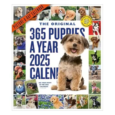 365 Puppies-A-Year Picture-A-Day® Wall Calendar 2025 - Calendars, Workman