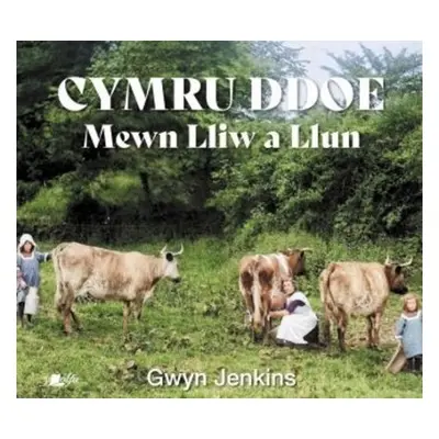 Cymru Ddoe Mewn Lliw a Llun - Jenkins, Gwyn